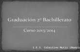 Graduación 2º bach.13/14 IES Celestino Mutis, Madrid