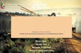 Instrumentos de fomento forestal en Chile