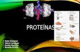 Proteínas exposicion
