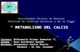 Metabolismo calciooo