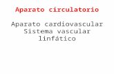 Histología del Aparato Cardio Vascular. Escuela de Medicina ITESM