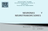 Neuronas y neurotransmisores   mariela pptx
