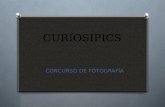 CONCURSO CURIOSIPICS