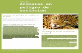 Animales en peligrode extincion
