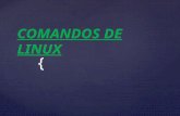Comandos de linux