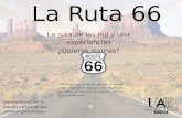 Ruta 66 informe