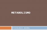 Metabolismo cuantitativo