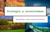 Ecologia 4to Semestre