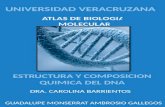 Atlas de biologia molecular