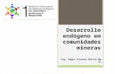 Desarrollo endógeno en comunidades mineras