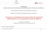 Servicios ambientales en la propiedad social en México (JA Reyes 01 dic14)