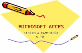 Microsoft acces gabby