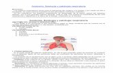 Anatomía, fisiología y patología respiratoria