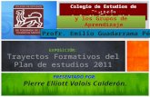 TRAYECTOS FORMATIVOS DEL PLAN DE ESTUDIOS 2011