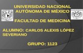 Ciclo celular Carlos Severiano Facultad de Medicina UNAM