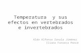 Temperatura  y sus efectos en vertebrados e invertebrados