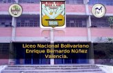 Liceo E.B.N.Valencia