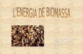 Energia biomassa