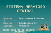 Sistema nervioso central (tema 3)