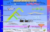 La Hidrosfera y la Atmósfera Manuel Munuera
