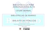 Biblioteca La PeñA Arborizadora Alta