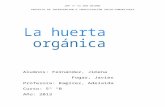 Informe de Huerta