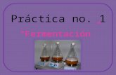 Practica biologia fermentación