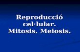 Tema 19 reproduccin celular