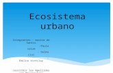 Ecosistema urbano