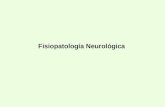 Fisiopatologia del-sistema-nervioso