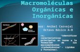 C22 s14 macromoleculas