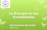 La energía de los Ecosistemas