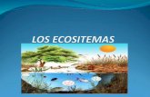 Los ecositemas
