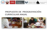 Ppt propuesta de  programación curricular anual  ugel 06  2014
