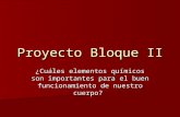 Proyecto bloque 2 ciencias Mtra Alma Maite