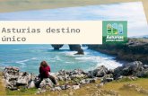 Presentación Asturias mayo 2015