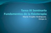 Tarea iii seminario fundamentos de la fisioterapia