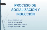 Socialización & proceso de inducción