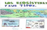 Los ecosistemas y sus tipos