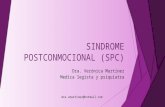 Sindrome postconmocional (spc)