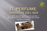 El perfume: la sinergia del ser