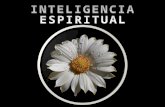 193 inteligencia espiritual