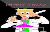 EXPERIMENTOS DE BIOLOGIA 4ºB
