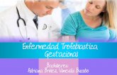 Enfermedades trofoblastica gestacional