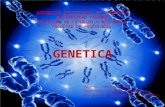 Genetica, cromosomas, tipos  y partes