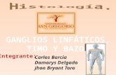 GANGLIOS LINFÁTICOS, TIMO Y BAZO.