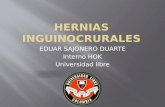 Hernias inguinocrurales