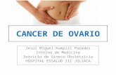 Cancer de ovario - guia clinica