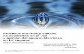 Procesos Sociales y Efectos no esperados en el Uso y Gestion del Agua Subterranea en la Laguna