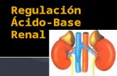 Regulación ácido base renal. mel